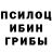 Псилоцибиновые грибы ЛСД Rama Tok